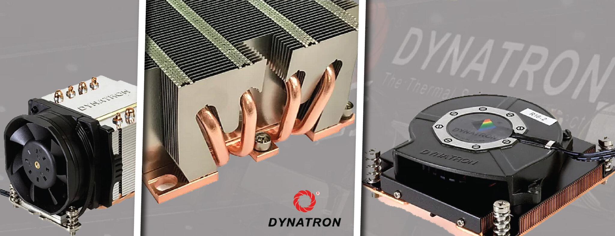 Dynatron-01